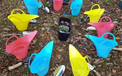 STE(A)M in the Forest: An Inclusive Approach to Forest School for STE(A)M teachers